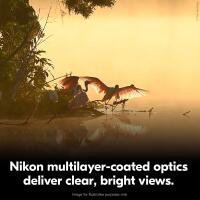 Nikon 10-22x50 Action Binoculars 3