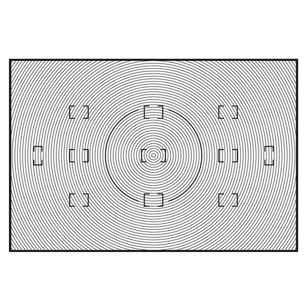 Nikon Type B Focusing Screen for D2H