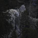 Nikon NIKKOR Z 180-600mm f/5.6-6.3 VR Lens 9