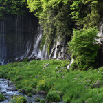 Nikon NIKKOR Z 70-180mm f/2.8 Lens 5