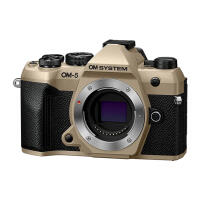 OM SYSTEM OM-5 Mark II Body - Sand Beige 3