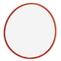 OM SYSTEM O ring used with the UFL-1 and UFL-2 0