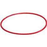 Olympus O Ring for the PT-037 Underwater Housing 0