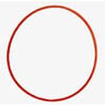 OlympusO ring Fits all PFL-EO1 Flash Housing 0