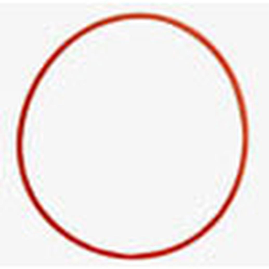 Olympus O Ring for PT-E06 Underwater Housing