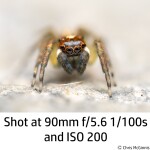 OM System M.Zuiko Digital ED 90mm F3.5 Macro IS PRO Lens 6