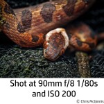 OM System M.Zuiko Digital ED 90mm F3.5 Macro IS PRO Lens 7