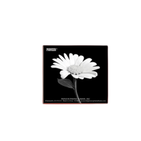 Pioneer 4 x 6 In. Fabric Frame Bi-Directional Photo Album (100 Photos) - Red 0