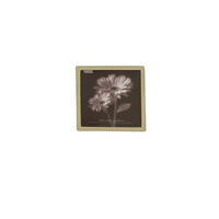 Pioneer 4 x 6 In. Embroidered Scroll Frame Photo Album (200 Photos) - Ivory 0