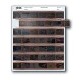 Print File 35-7 (100) Negativge Pages 0