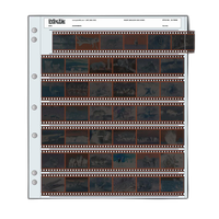 Print File Archival Storage Page for Negatives, 35mm (25 Pack) 0