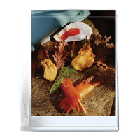 Print File 810-2P (25) Print Pages 0