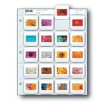 Print File 2X2-20B (25) Slide Pages 0