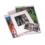 Print File 9X12 (100) 4 Mil Poly Bags 0