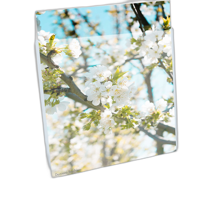 Print File 3.2-Mil BOPP Presentation Pocket (17x22, 100-Pack)