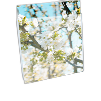 Print File 3.2-Mil BOPP Presentation Pocket (17x22, 100-Pack) 0