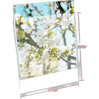 Print File 3.2-Mil BOPP Presentation Pocket (17x22, 100-Pack) 1