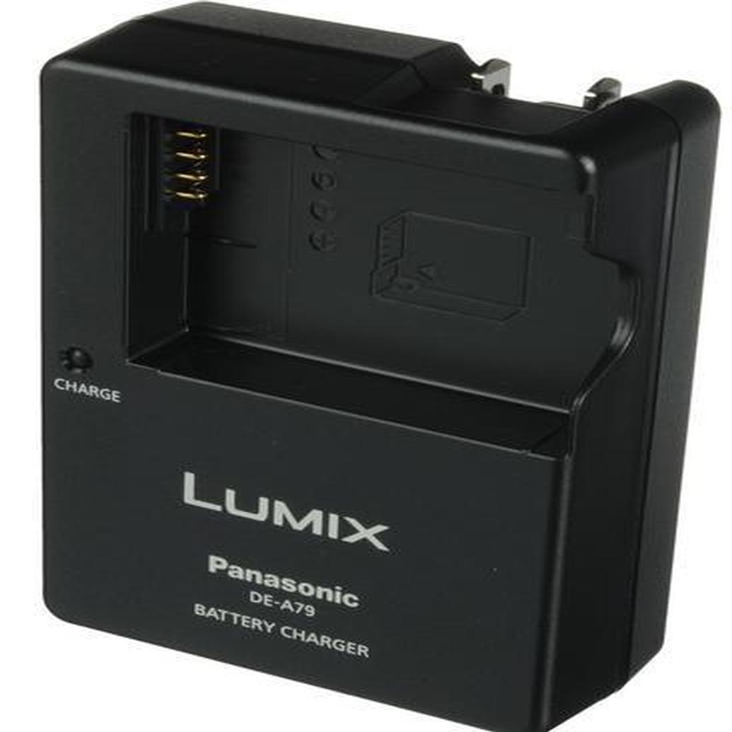 Panasonic DE-A79BA/SX Battery Charger