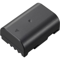 Panasonic DMW-BLF19 Battery