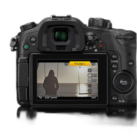 Panasonic V-Log L Function Activation Code for Lumix DMC-GH4  and  DMC-GH5 0