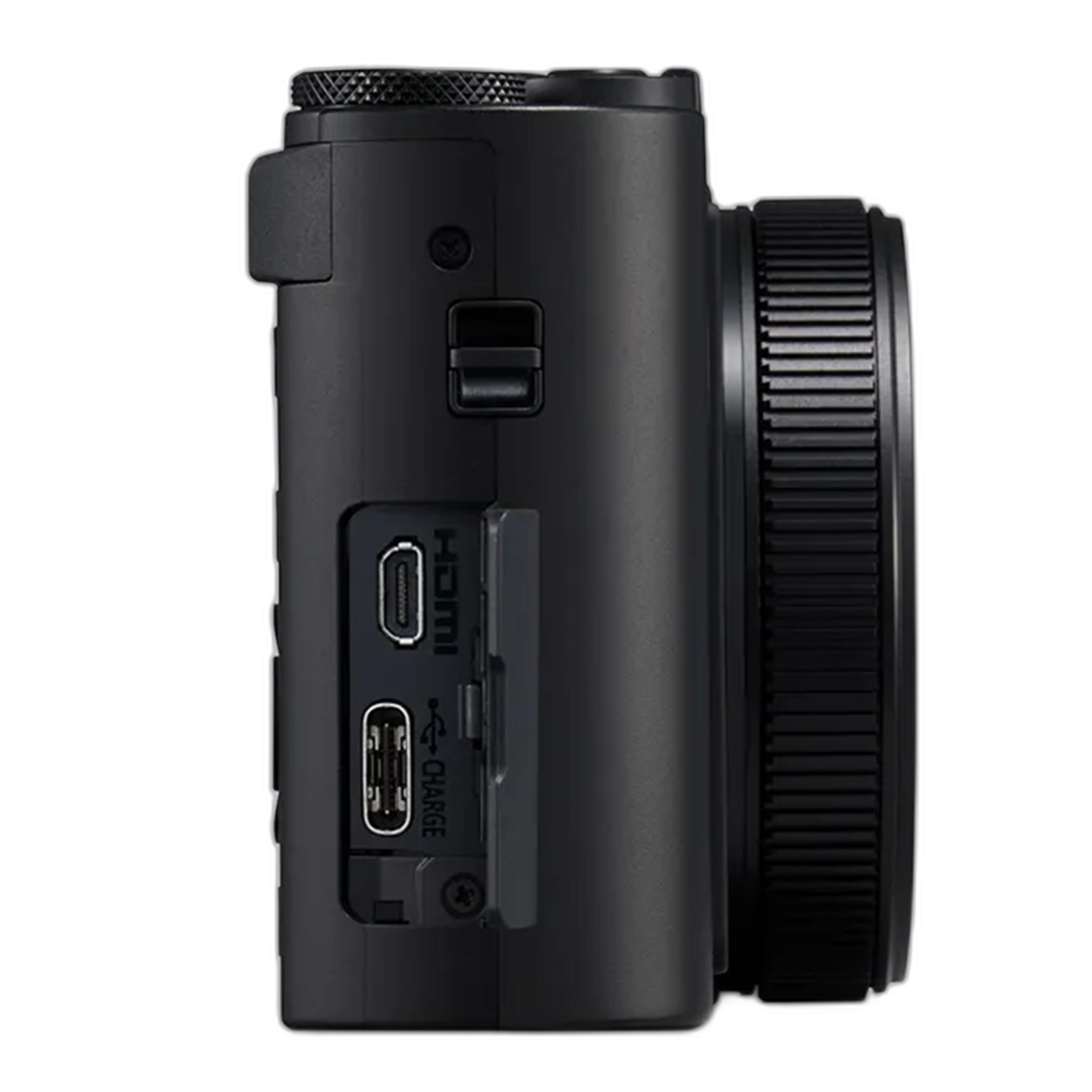 Panasonic LUMIX ZS300 Point and Shoot Camera - Black