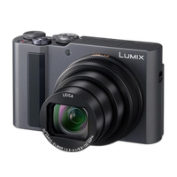 Panasonic LUMIX ZS300 Point and Shoot Camera - Silver 5