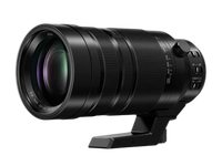 Panasonic Leica DG Vario-Elmar 100-400mm f/4-6.3 ASPH. POWER O.I.S. Lens 2