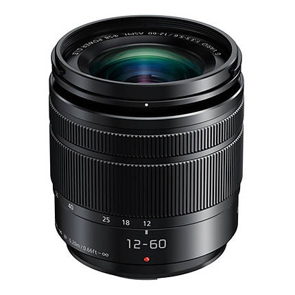 Panasonic Lumix G Vario 12-60mm f/3.5-5.6 ASPH. POWER O.I.S. Lens