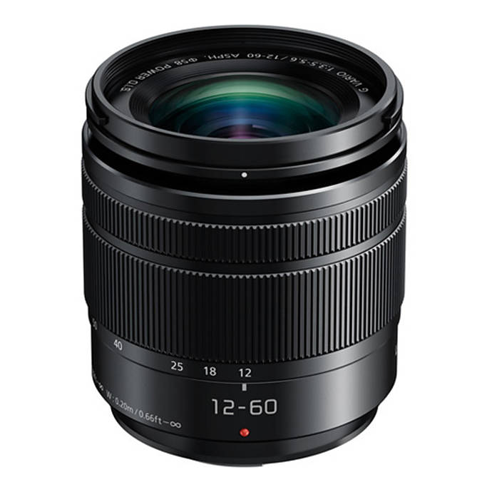 Panasonic Lumix G Vario 12-60mm f/3.5-5.6 ASPH. POWER O.I.S. Lens