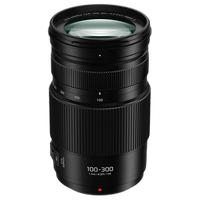 Panasonic Lumix G Vario 100-300mm f/4-5.6 II POWER O.I.S. Lens 0