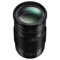 Panasonic Lumix G Vario 100-300mm f/4-5.6 II POWER O.I.S. Lens 1