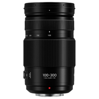 Panasonic Lumix G Vario 100-300mm f/4-5.6 II POWER O.I.S. Lens 2