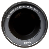 Panasonic Lumix G Vario 100-300mm f/4-5.6 II POWER O.I.S. Lens 8
