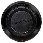 Panasonic Lumix G Vario 100-300mm f/4-5.6 II POWER O.I.S. Lens 9