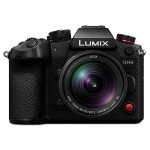Panasonic LUMIX 12-35mm f/2.8 LEICA Vario-Elmarit DG Power O.I.S. Lens 5