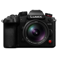 Panasonic LUMIX 12-35mm f/2.8 LEICA Vario-Elmarit DG Power O.I.S. Lens 5