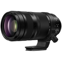 Panasonic LUMIX S 100-500mm F5-7.1 1