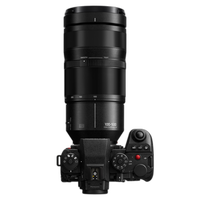 Panasonic LUMIX S 100-500mm F5-7.1 6