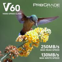 ProGrade Digital 256GB SDXC UHS-II V60 Memory Card 5
