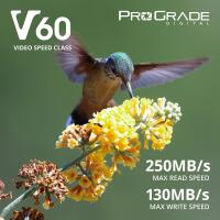 ProGrade Digital 512GB SDXC UHS-II V60 Memory Card 1