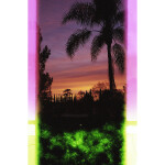 Psychedelic Blues 400 5 35mm x 24 exp. -  White Border Rainbow 1