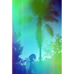 Psychedelic Blues 200 4 35mm x 36 exp. 3