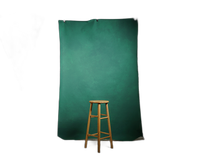 Gravity Backdrop Green Painted Backdrop 5.2 ft x 8.2 ft. 0