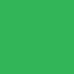 Savage 10x20 Infinity Lint free ProCloth (ProChroma Green) 0