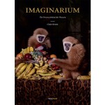 Rocky Nook - Imaginarium by Claire Rosen 0