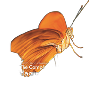 Complete Guide Macro Close-Up Photo by Cyrill Harnischmacher 0