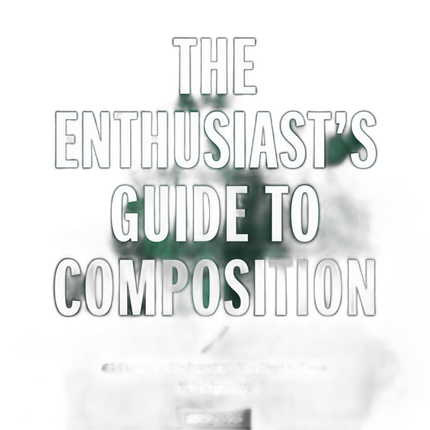 The Enthusiasts Guide to Composition by Khara Plicanic