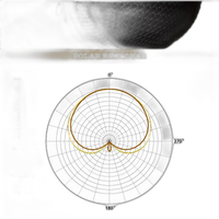 Rode Live Performance Dynamic Microphone (Black) 5
