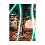 Revolog Lazer Iso 200 35mm x 36exp Special Effect Color Film 1