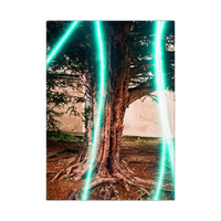 Revolog Lazer Iso 200 35mm x 36exp Special Effect Color Film 1